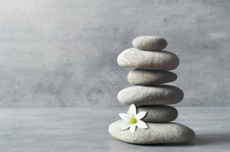 石头和白花的平衡图片