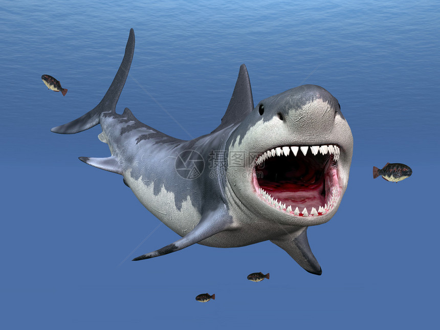计算机生成的大白鲨3D插图图片