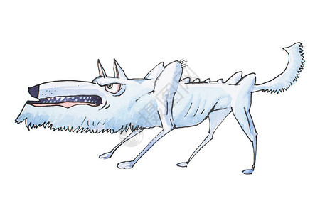 在攻击前微笑和咆哮的瘦灰色愤怒狼的水彩插图图片