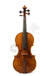 旧意大利小提琴在白色和白图片