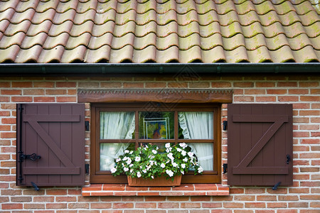 一座典型的佛兰芒房子的窗户图片