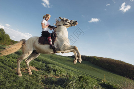 马的女人在场上跳跃赛马图片
