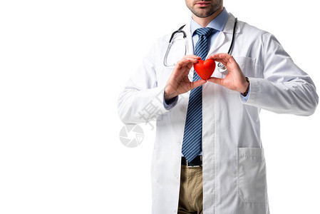 穿着白色大衣的医生亲近地看到心脏图片