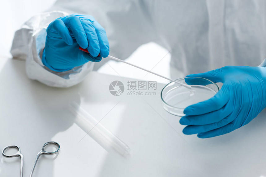 在实验室进行DNA测试的乳胶手套上科学图片