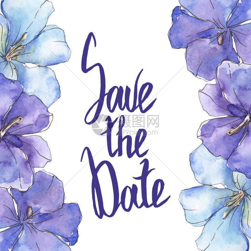 蓝紫色亚麻花卉植物花孤立的野生春叶野花水彩背景插图集水彩画时尚水彩画孤立框架图片