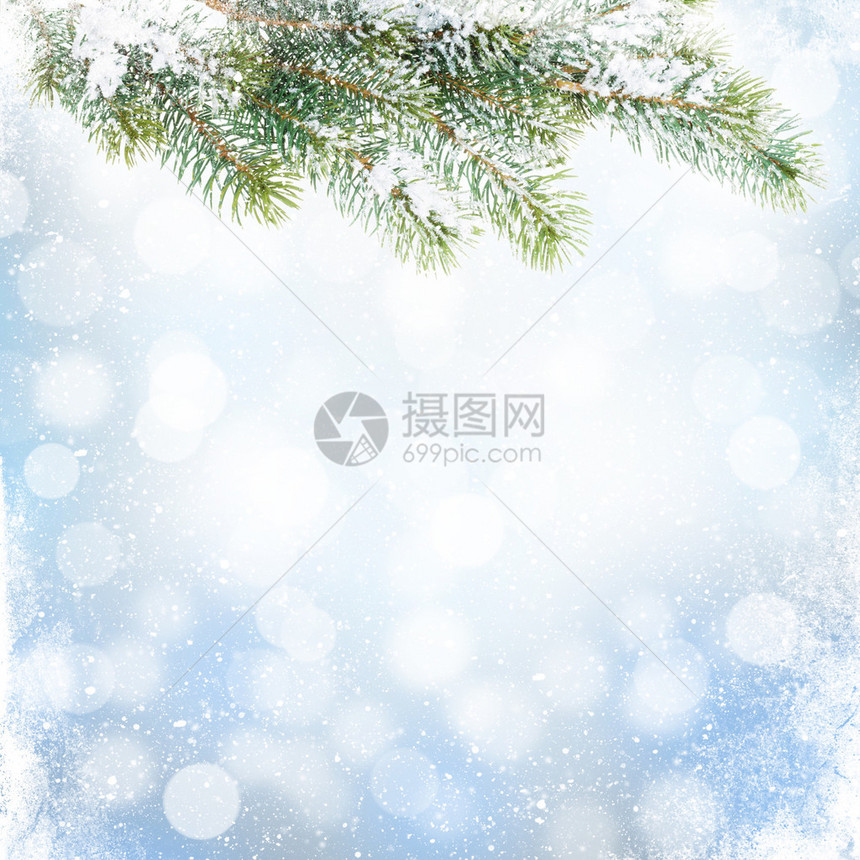 圣诞节冬季背景有雪绒树和模糊图片