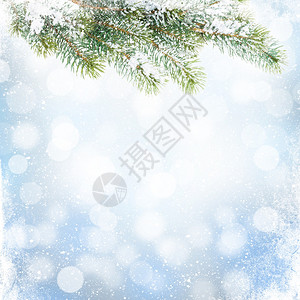 圣诞节冬季背景有雪绒树和模糊图片