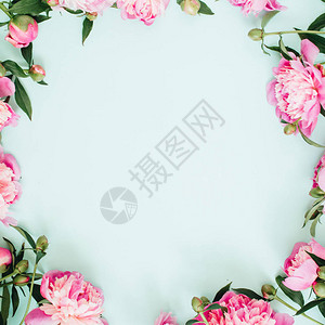粉红色牡丹花树枝叶子和花瓣的框架花环图片
