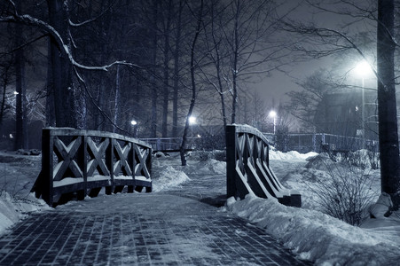 晚上冬天公园黑图片
