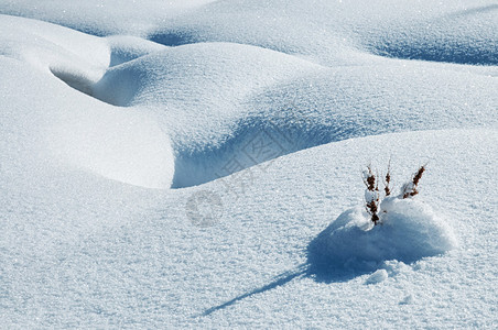 冬天风景细节与雪的图片