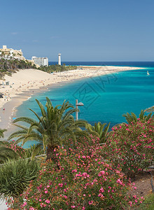 西班牙加那利岛Fuerteventura高清图片