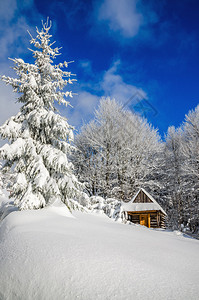 冬季风景中的山丘小屋森图片