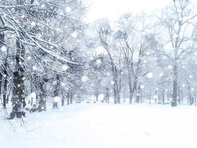 冬季降雪景观雪域公园图片