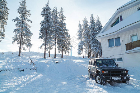 雪覆盖的树和房子旁边的汽车图片