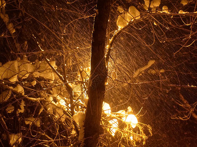 冬季晚上在街上图片