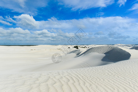 尼尔根自然保护区的白色沙丘图片