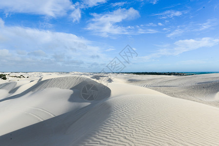 尼尔根自然保护区的白色沙丘图片