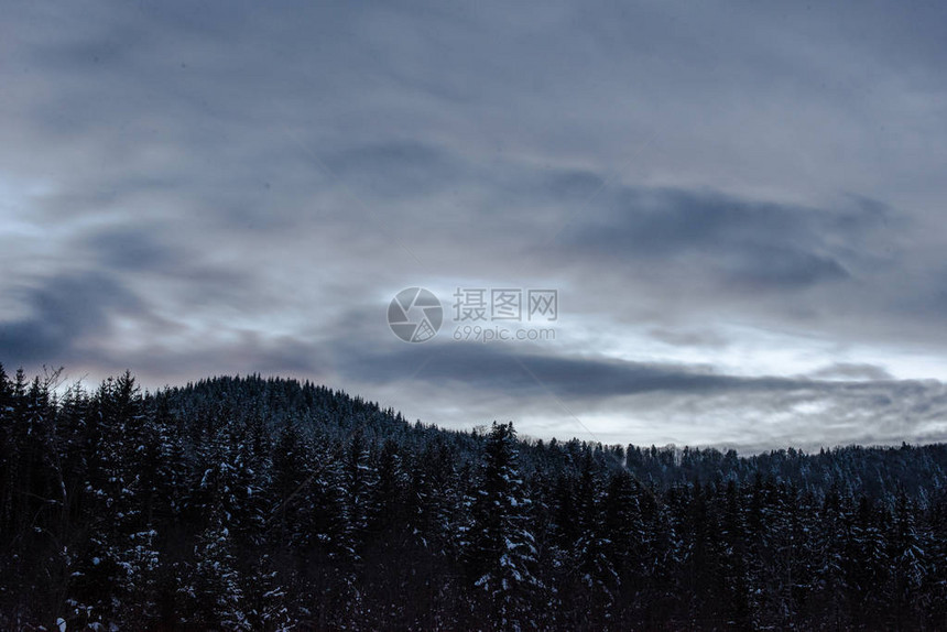 深夜满雪天空和树木多云覆盖着喀尔巴阡图片