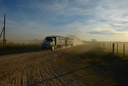 大卡车在南美途中图片