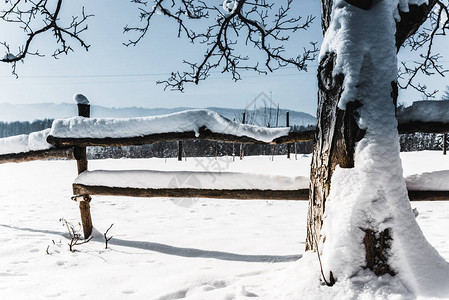 喀尔巴阡山高上被雪和冰柱图片
