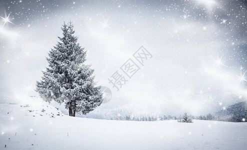 白雪皑的冬季景观的圣诞背景图片