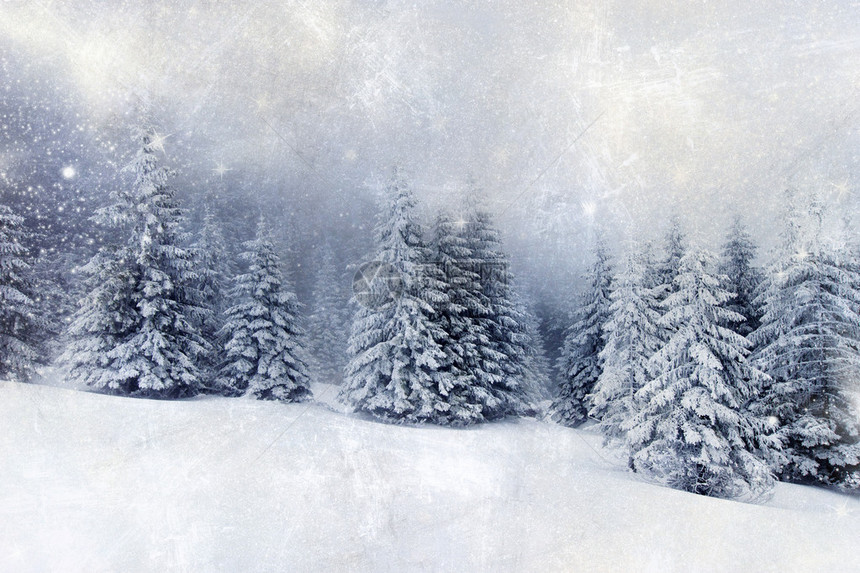 圣诞背景有雪图片