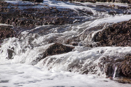 白水流过海藻覆盖的岩石图片