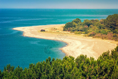 美丽的风景蓝海滩长着松树的海图片