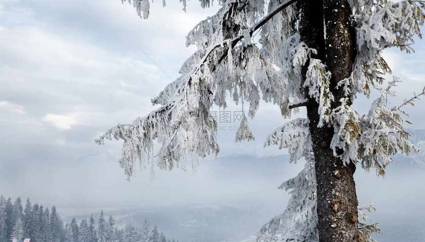 山中美丽的雪景圣诞节的冬日美景图片