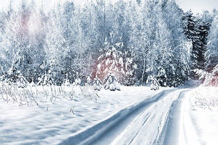 冬季森林冬季景观图片