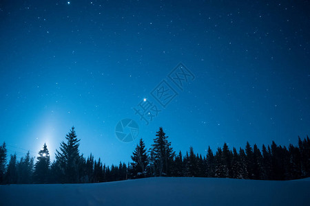 圣诞树在星空的寒冬天幕图片