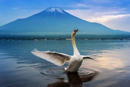 日本Yamanaka湖图片