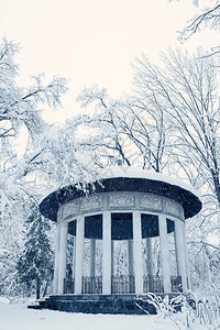 冬季风景古老的Arbor王朝亚历山德里亚公园中的Branni图片