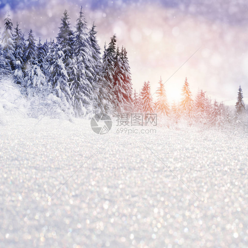 冬季风景有雪树和雪花图片
