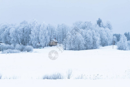 冬季的雪景图片