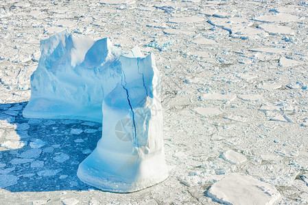 春天在格陵兰岛的冰山图片