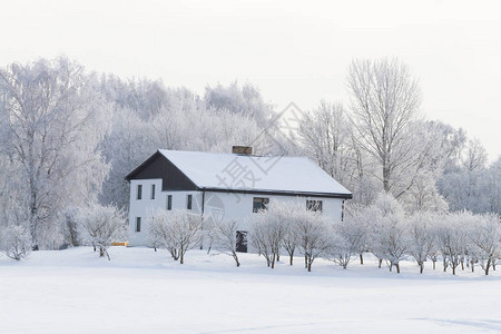 冬季乡村雪景建筑图片
