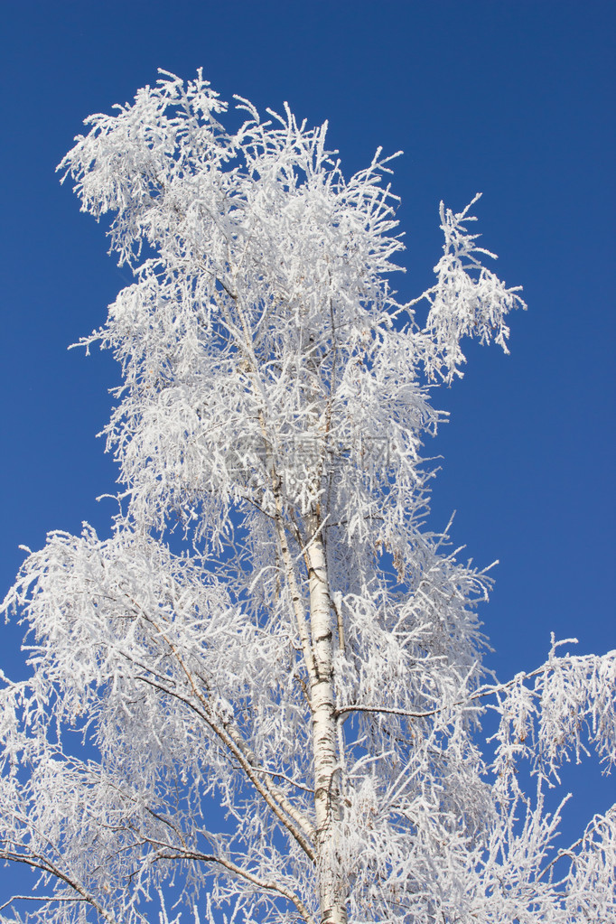 温冬故事和蓝天图片