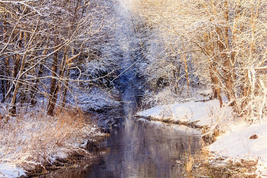 天气晴朗的冬季景观图片