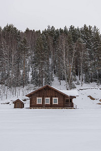 森林里的冬假度屋图片