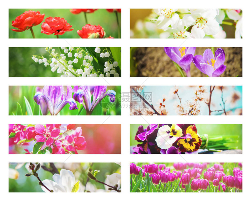 许多鲜花照片拼凑图片