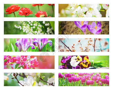 许多鲜花照片拼凑图片