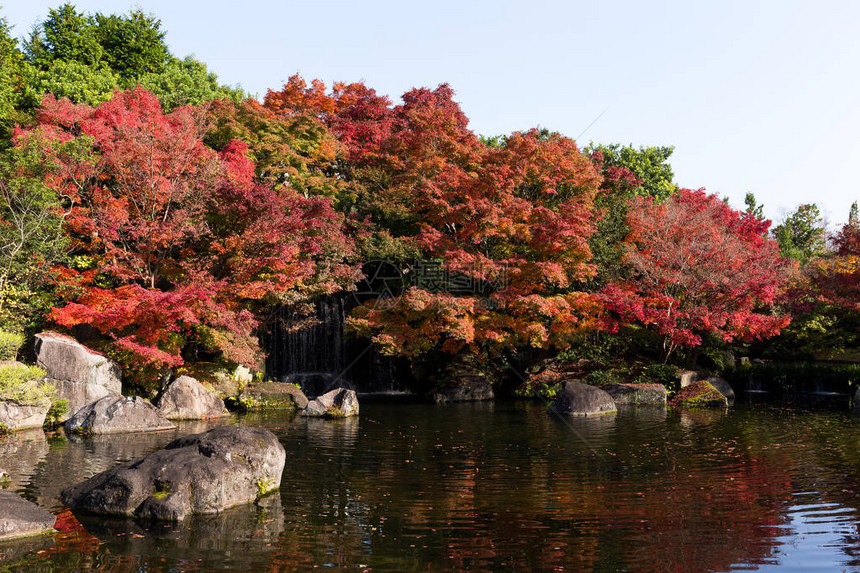 秋天的日本Ko图片