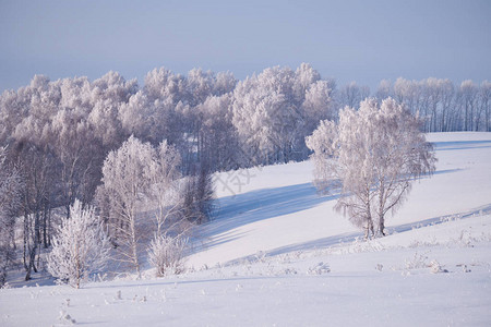 俄罗斯西伯利亚阿尔泰Altai西伯利亚图片