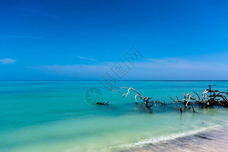 古巴海滩全景视图图片