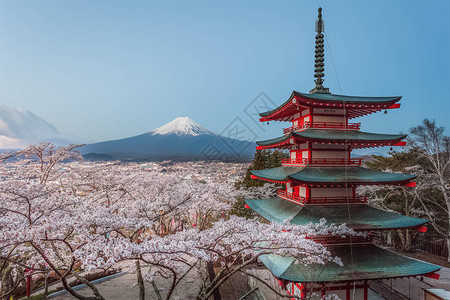 春天的河津坂和富士山图片