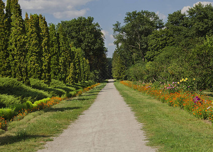 夏季公园的一条路有鲜花和绿草图片