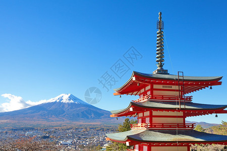 冬季藤山FujiMou图片