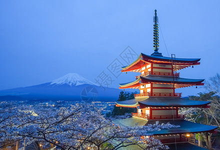 藤山和红塔山在樱花沙库拉高清图片