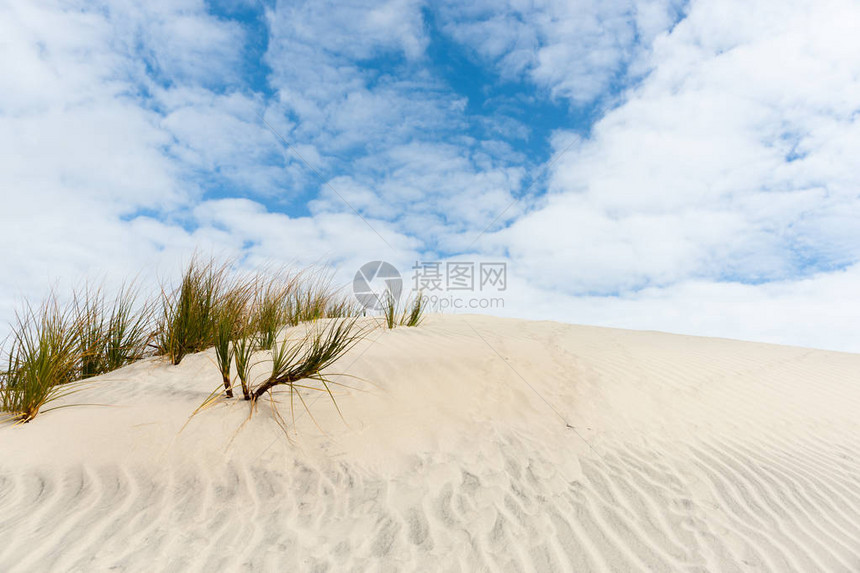 令人惊叹的MangawhaiHeads沙丘在被风吹拂的模式中上升到地平线和蓝色多云的天空图片